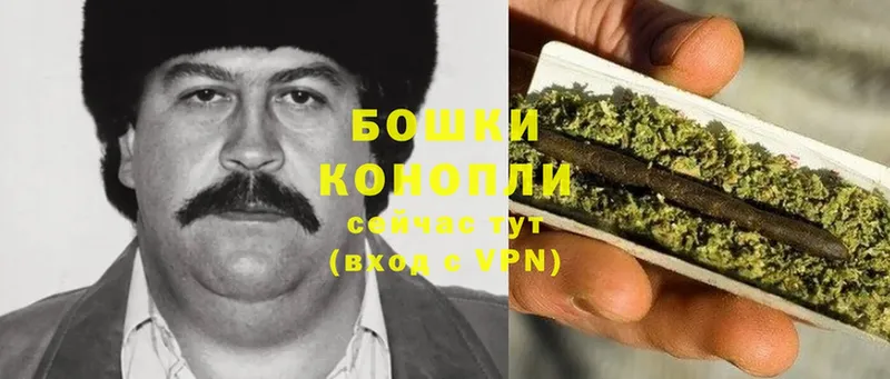 купить наркоту  Цоци-Юрт  Бошки марихуана THC 21% 